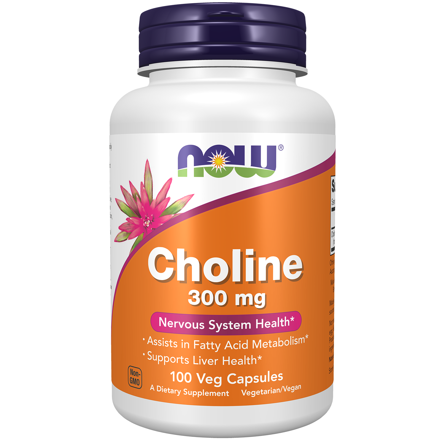 Now Foods Choline & Inositol 500 mg 100 Vcaps - 0470 - 2 Pack