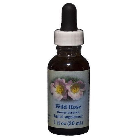 Flower Essence Services Rock Water Dropper 1oz - FS0082