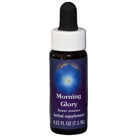 Flower Essence Services Monkeyflower Dropper 0.25 Ounce - FS0181