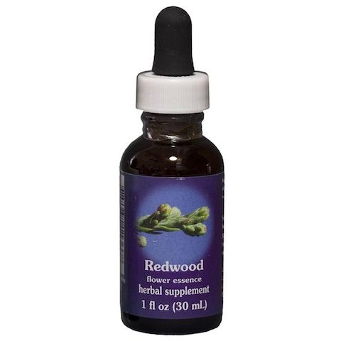 Flower Essence Services California Pitcher Plant Dropper 0.25 oz - FS0113