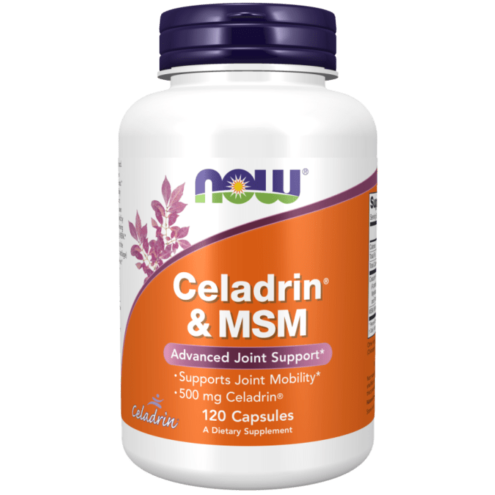 Now Foods Celadrin & MSM 500 mg 120 Capsules - 3016 - 2 Pack