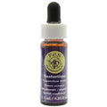Flower Essence Services Nasturtium Dropper 0.25 Ounce - FS0160