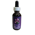 Flower Essence Services Forget Me Not Dropper 0.25 Ounce