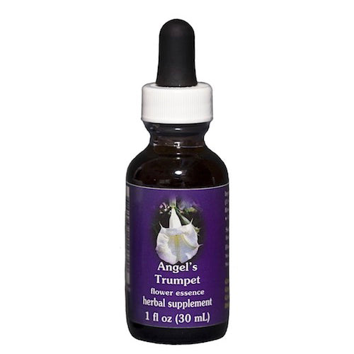 Flower Essence Services Angel's Trumpet Dropper 1oz