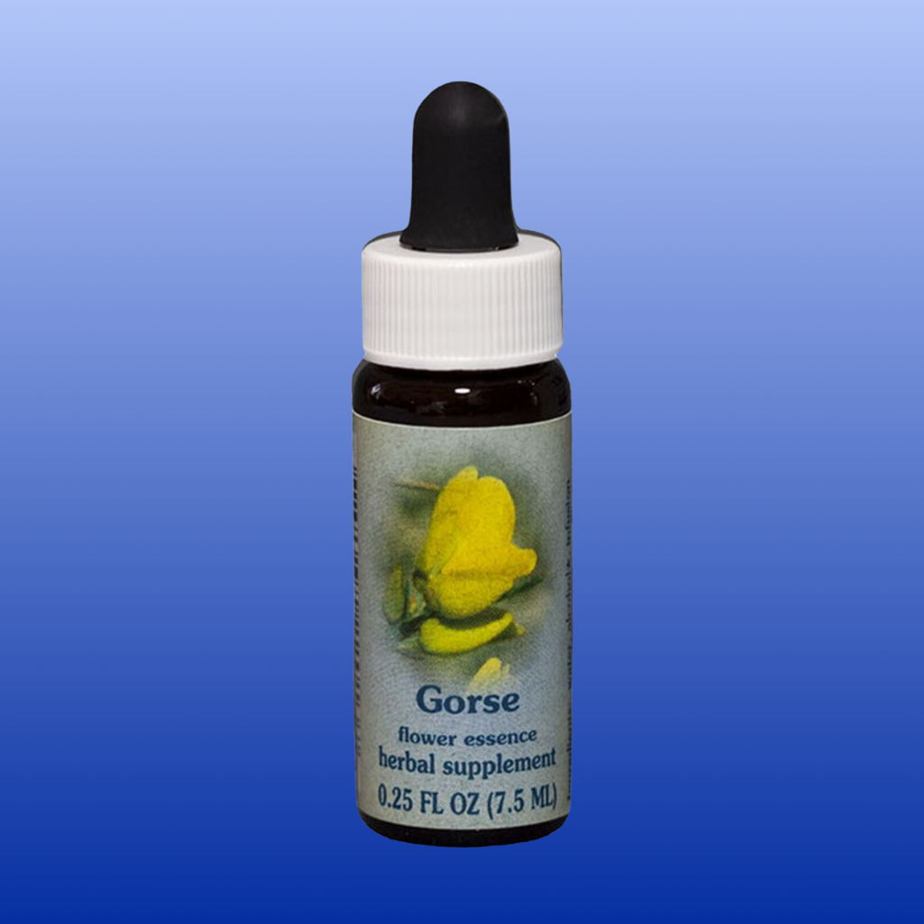 Flower Essence Services Yellow Star Tulip 1oz