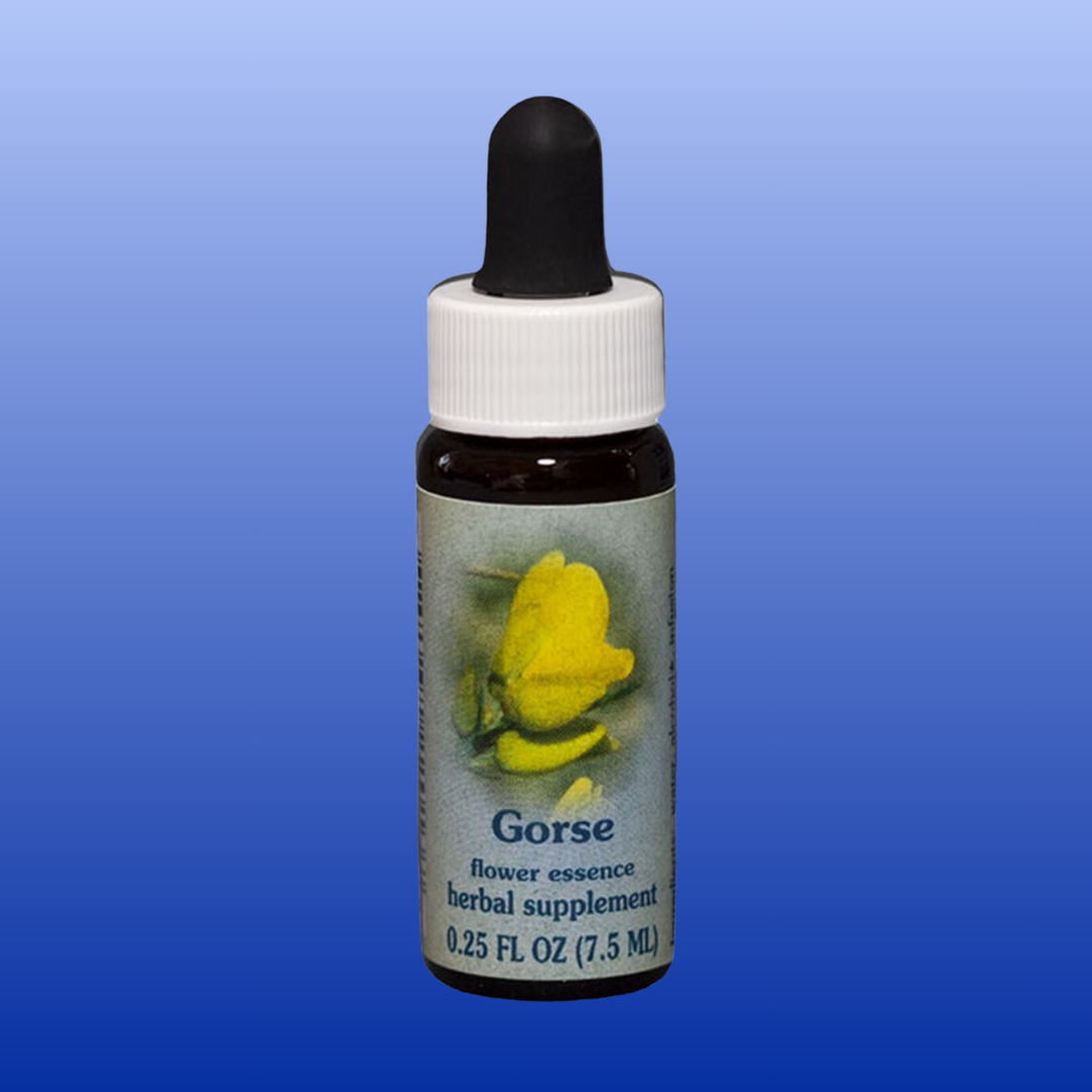 Flower Essence Services Yellow Star Tulip 1oz