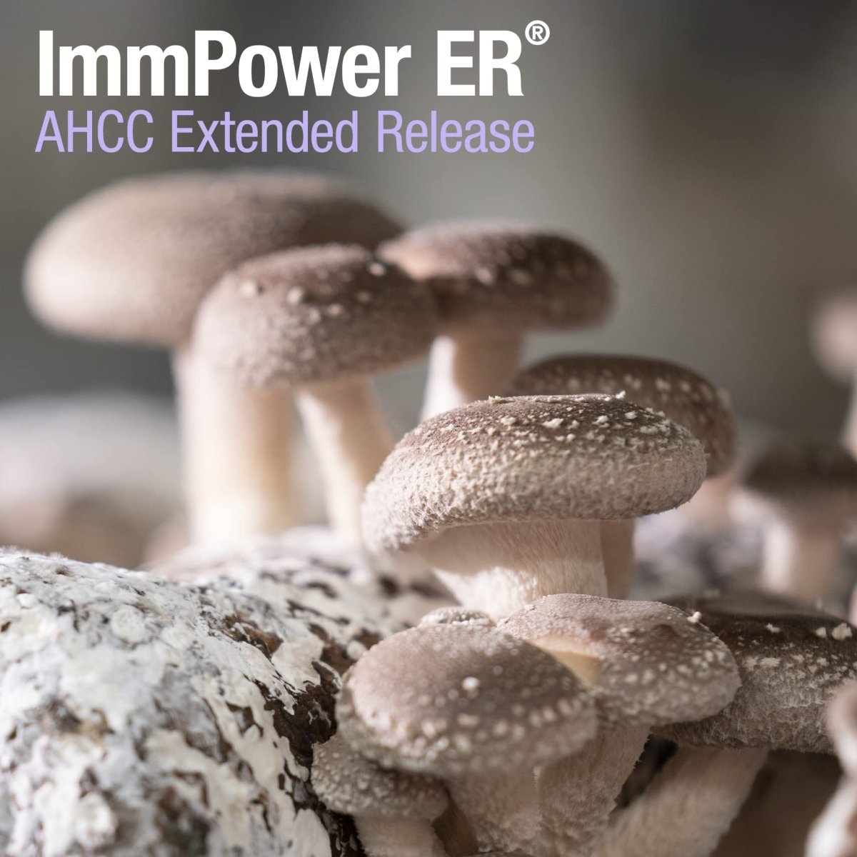 American BioSciences ImmPower ER 60caps