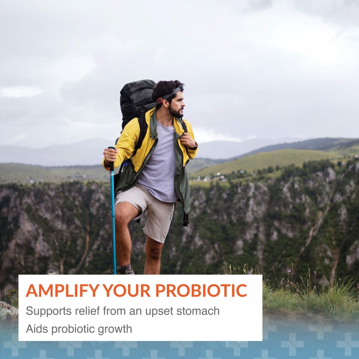 Arthur Andrew Medical Floraphage Probiotic Multiplier 30 Caps