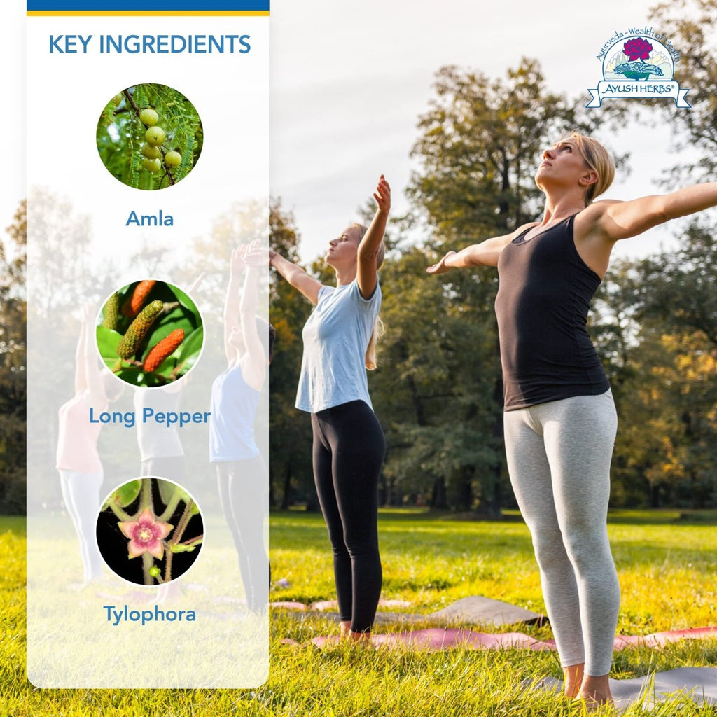 Ayush Herbs BronchoTone 90 Capsules