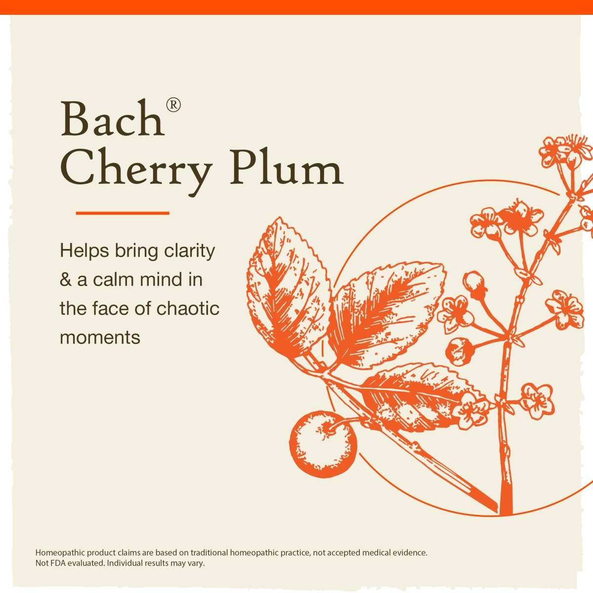 Bach Cherry Plum 20mL