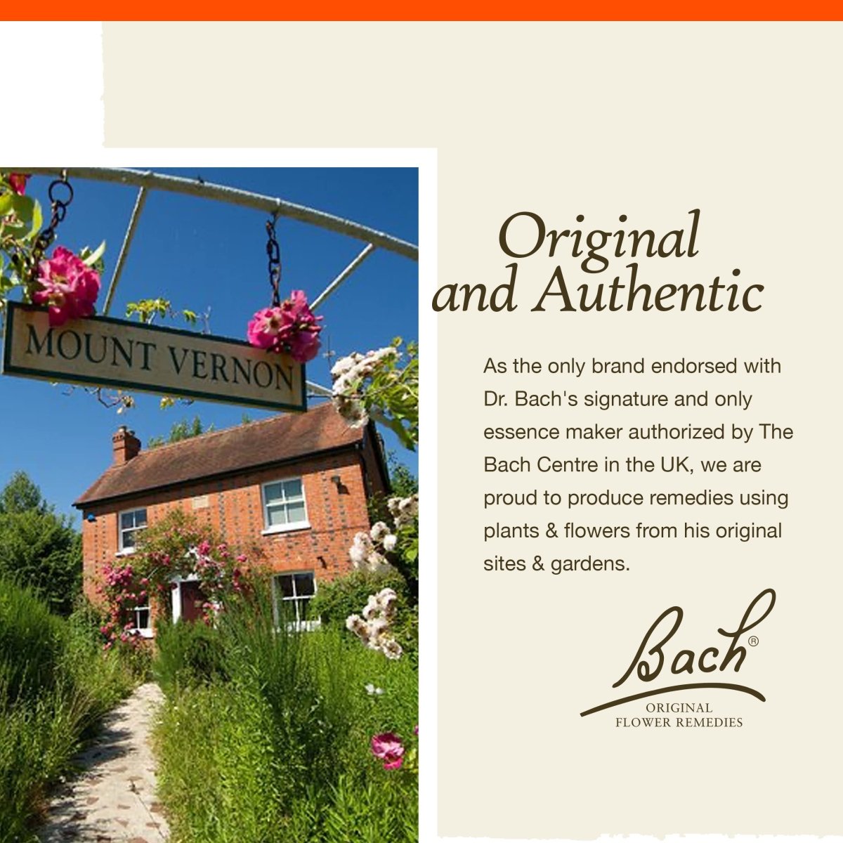 Bach Cherry Plum 20mL