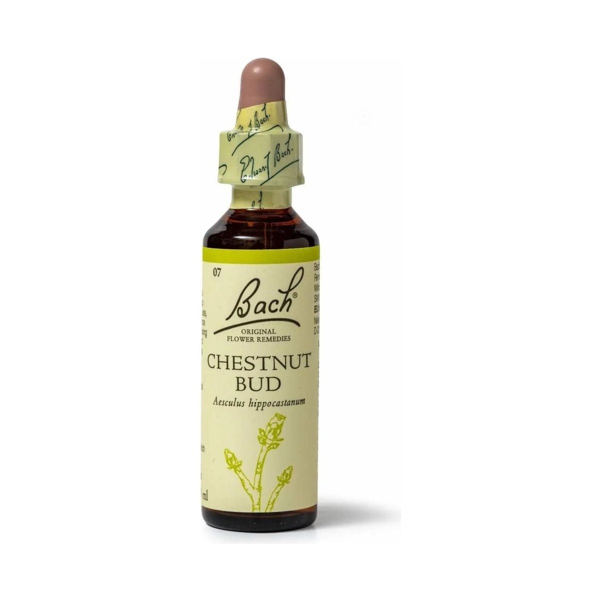 Bach Chestnut Bud 20 mL