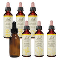 Bach Decide Your Path Kit - Wild Oat, Scleranthus & Empty Mixing Bottle