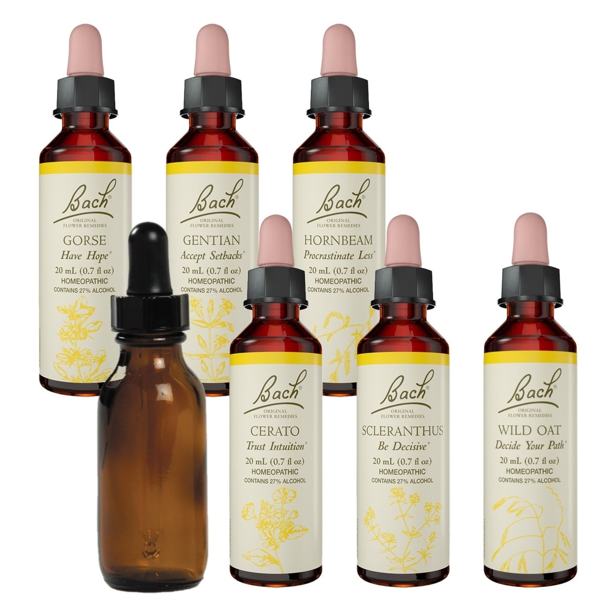 Bach Decide Your Path Kit - Wild Oat, Scleranthus & Empty Mixing Bottle
