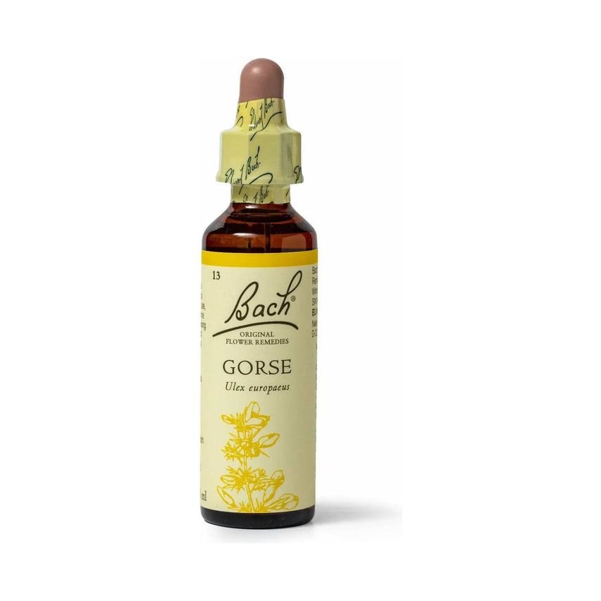 Bach Gorse 20 ml - 2 bottles