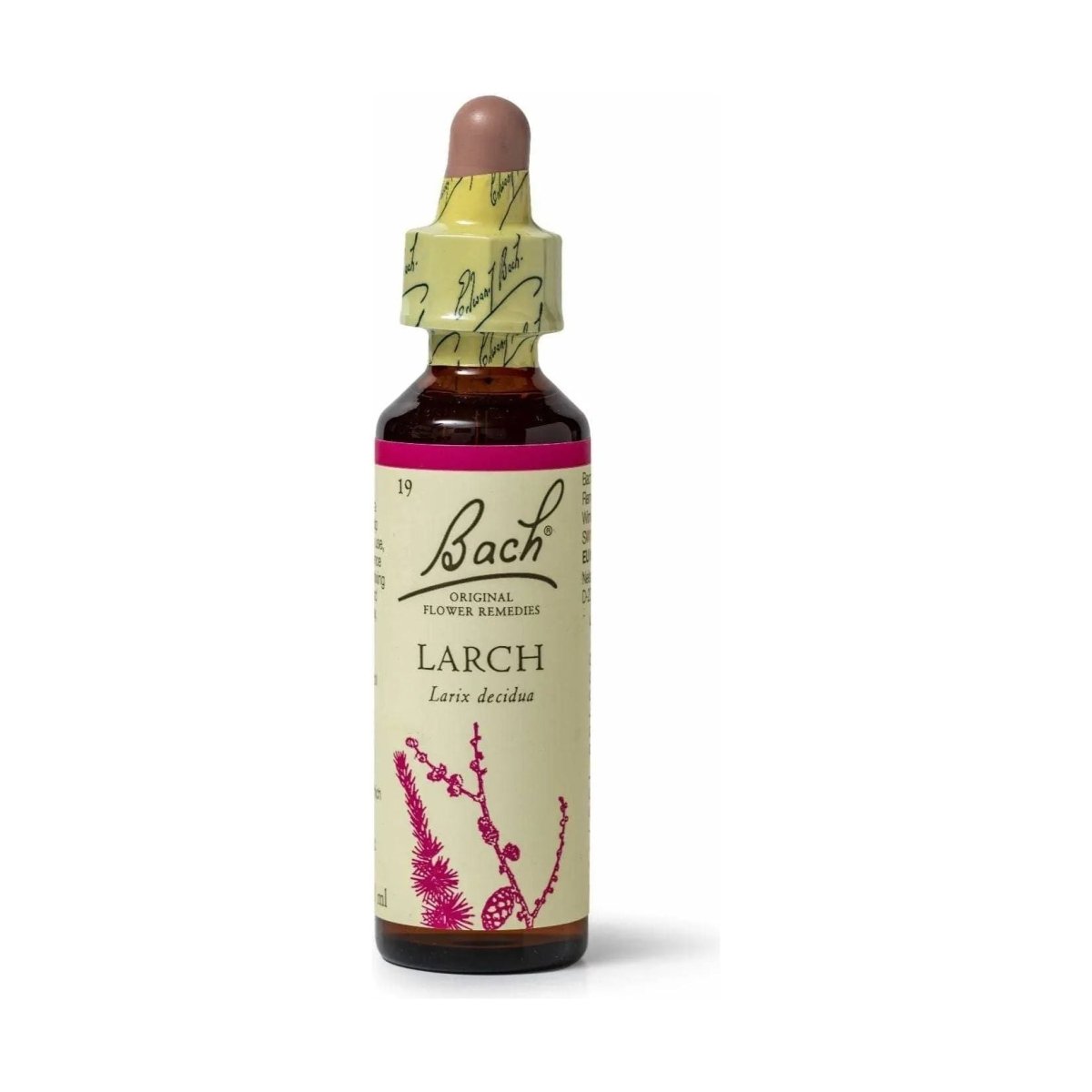 Bach Larch 20mL