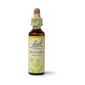 Bach Mustard 20mL