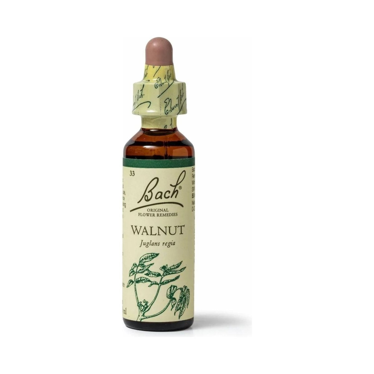 Bach Walnut 20ml