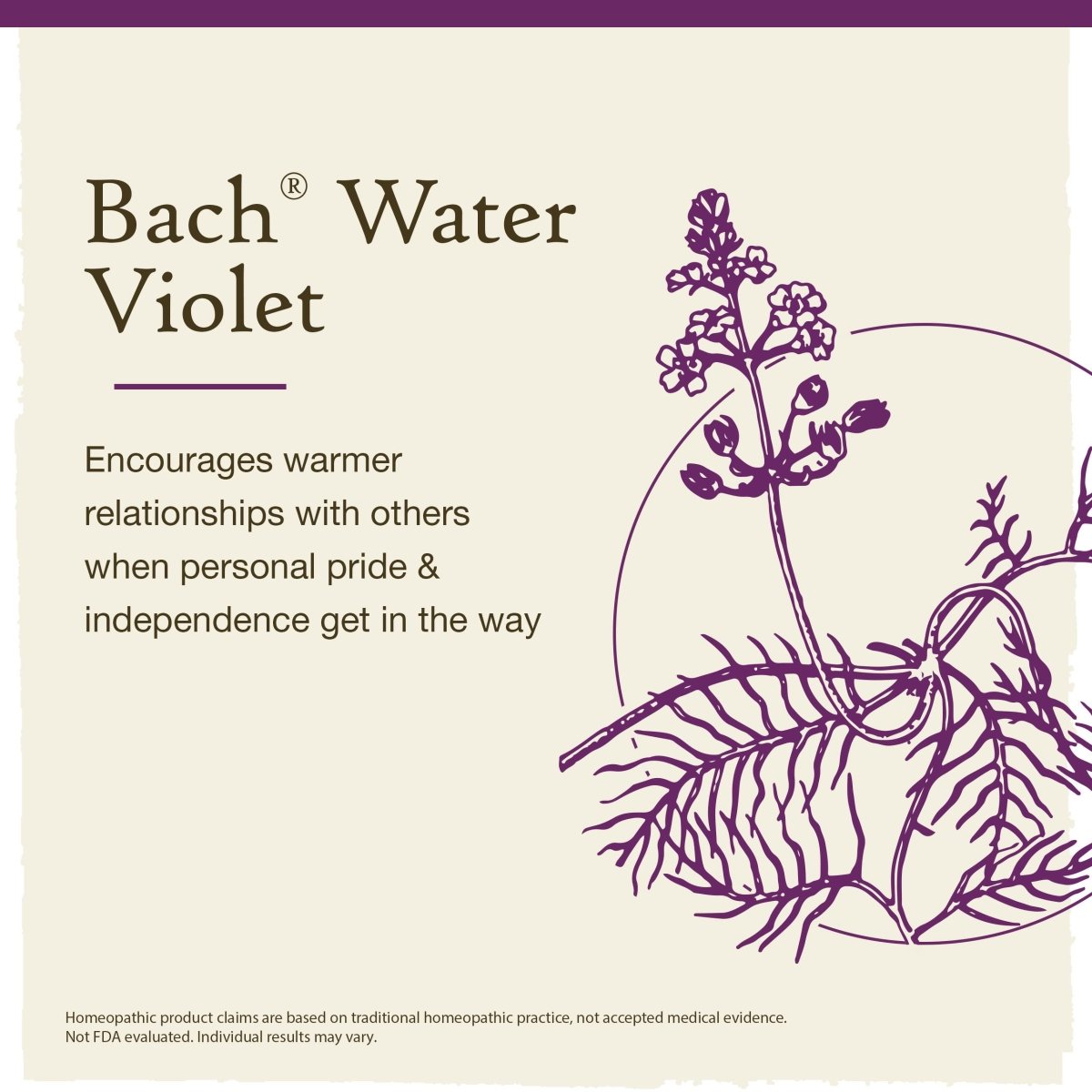 Bach Water Violet 20mL