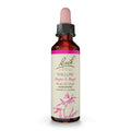 Bach Willow 20ml