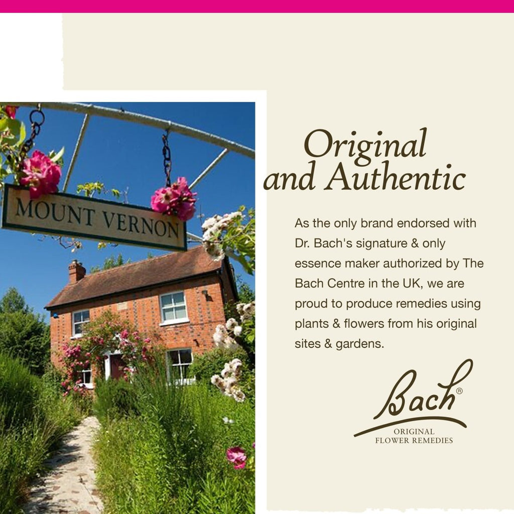 Bach Willow 20ml
