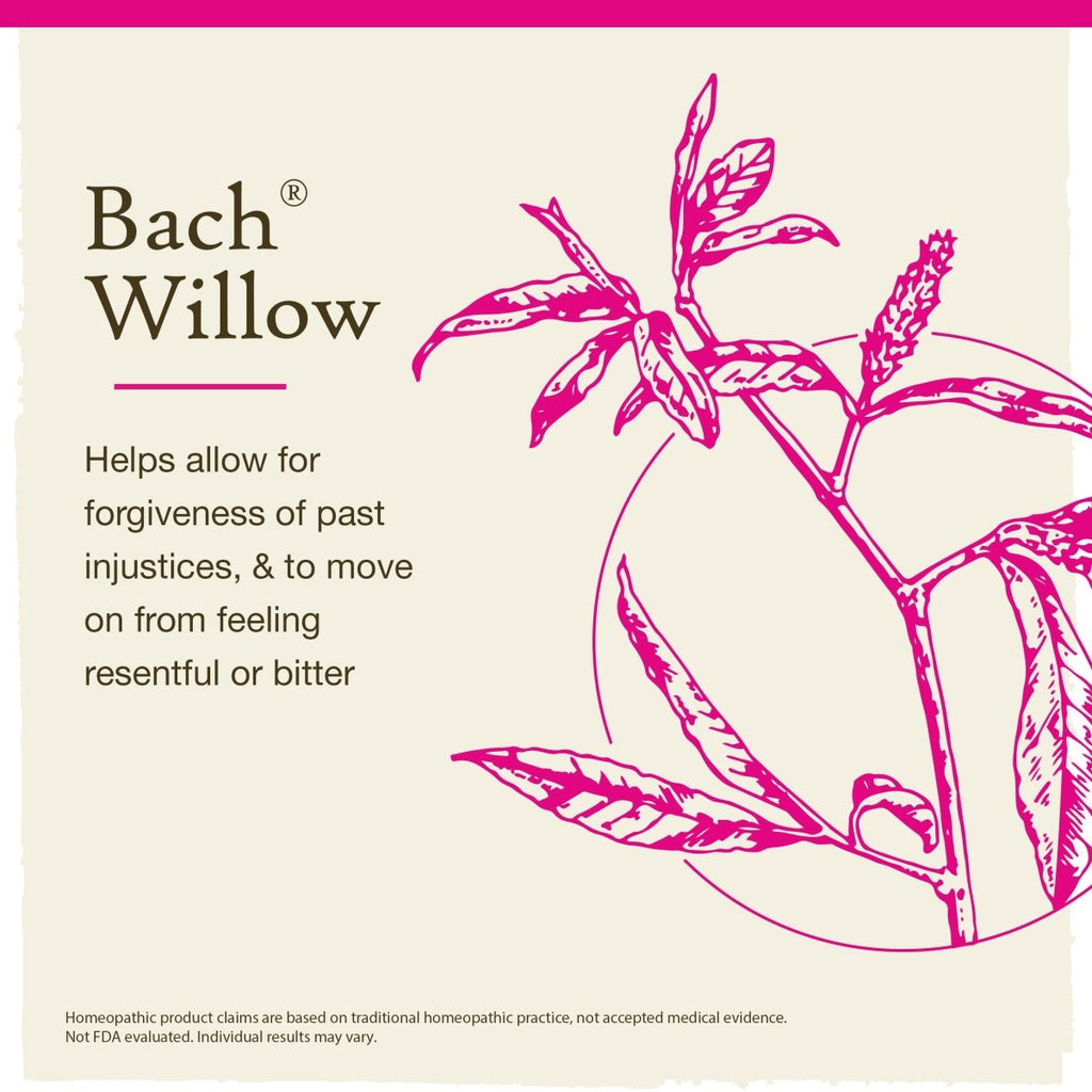 Bach Willow 20ml