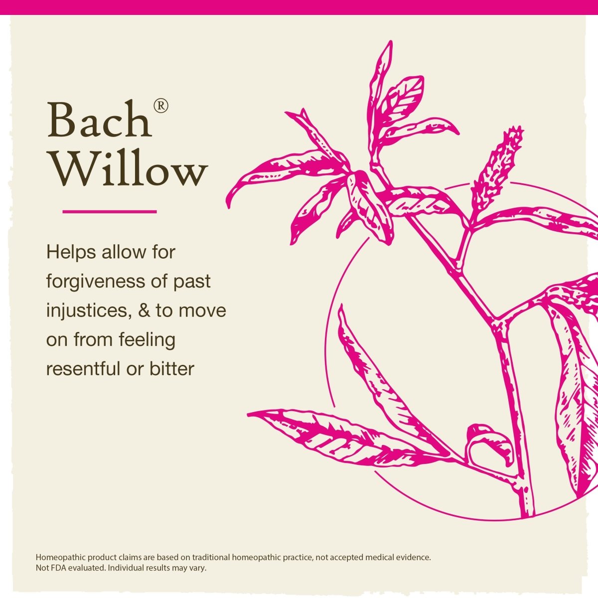 Bach Willow 20ml