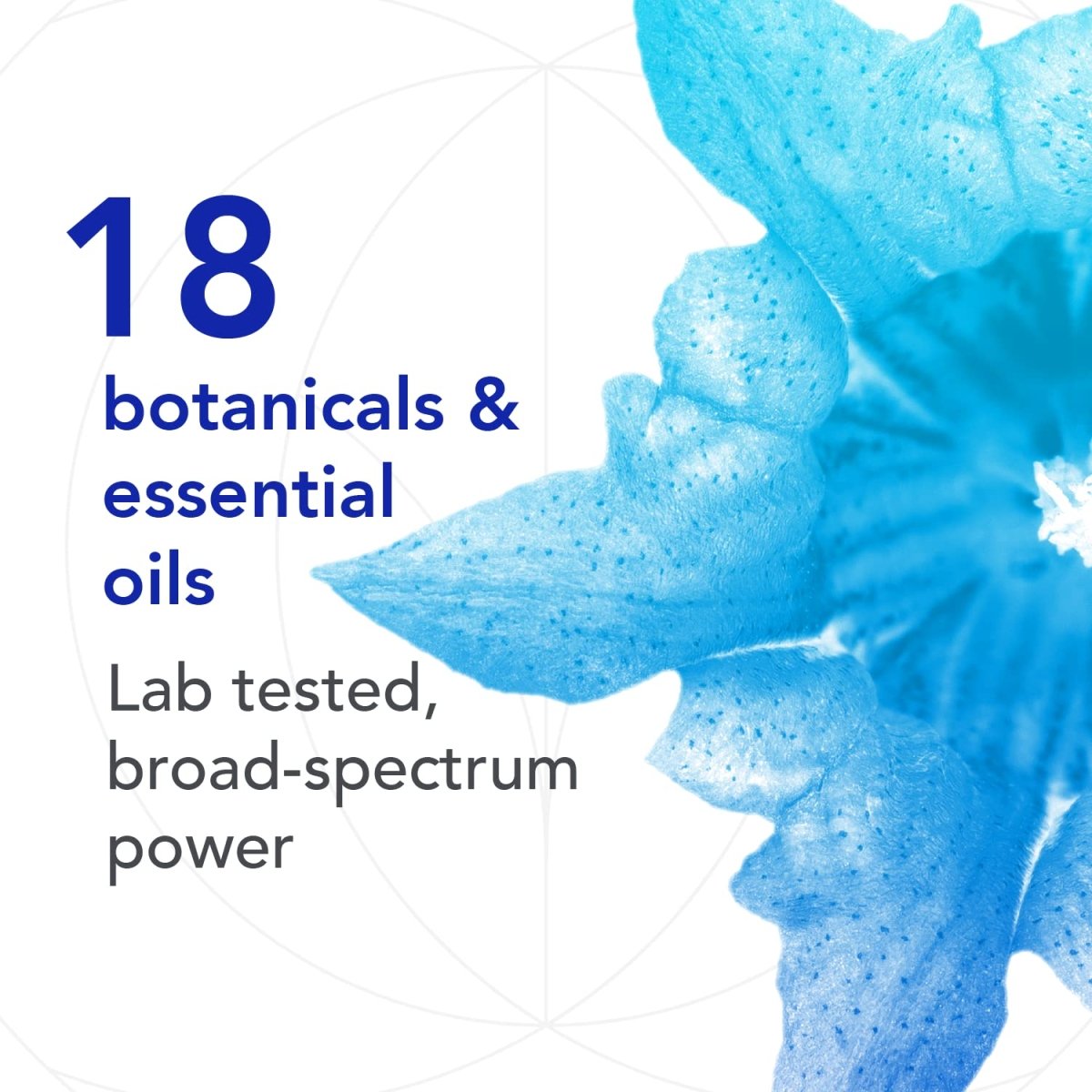 Bio-Botanical Research Biocidin LSF Remove Broad Spectrum Liposomal 1.7 fl oz