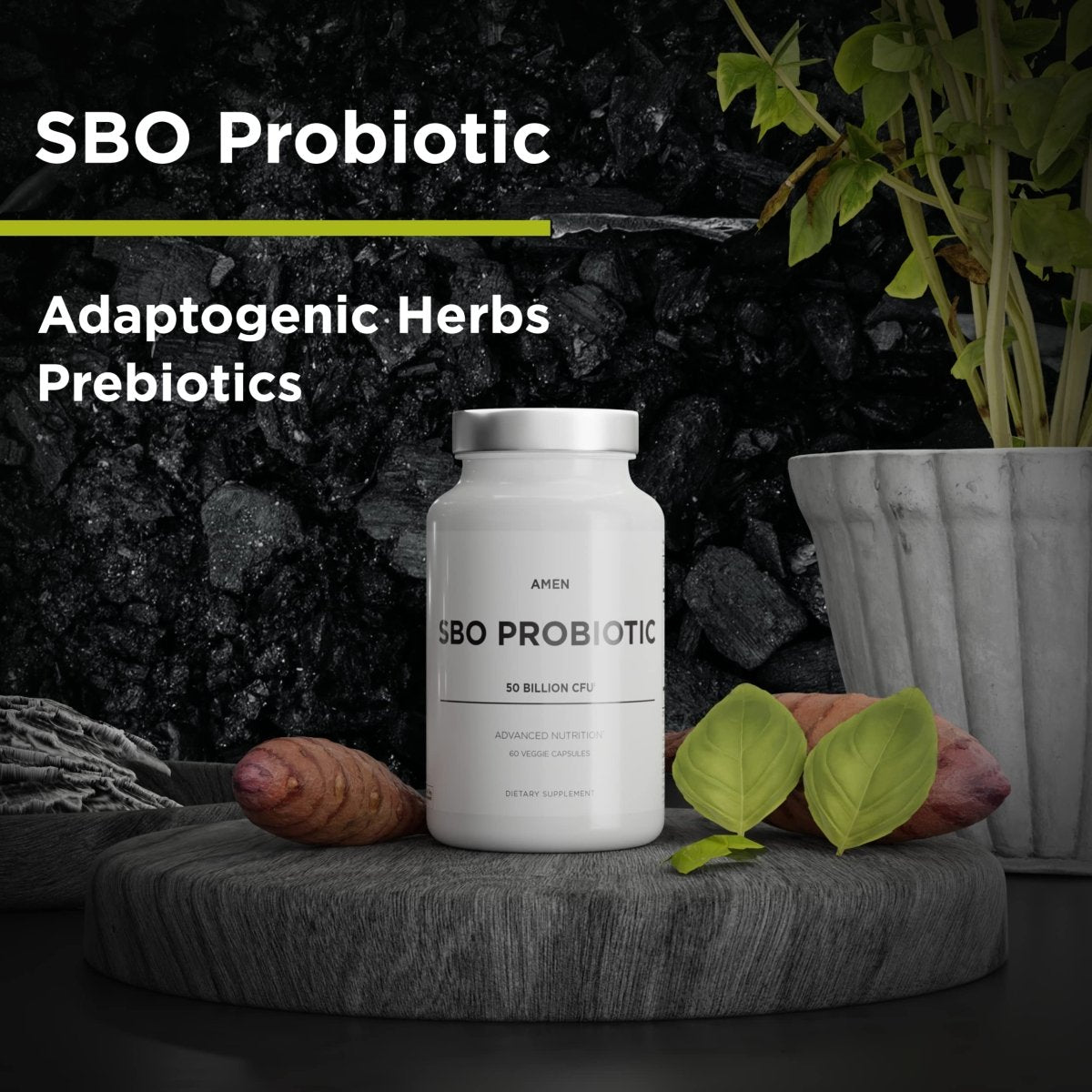 Codeage - Amen SBO Probiotic with Prebiotics - 60 Vegetable Capsule(s)