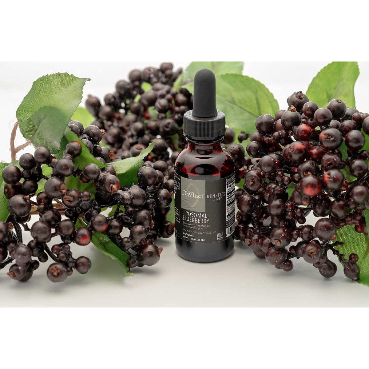 DAVINCI Labs Liposomal Elderberry - Immune Support Supplement for Healthy Lungs, Throat and Sinus* - with ElderCraft European Black Elderberry Extract - Gluten-Free - Vegetarian - 30 ml, 15 Servings