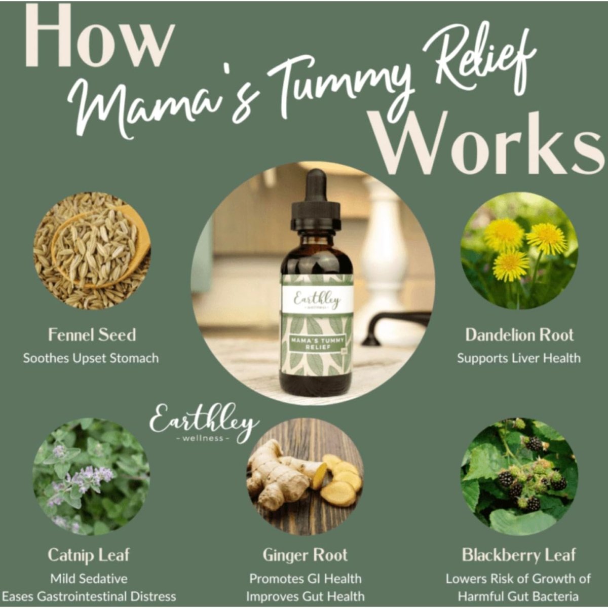 Earthley Wellness Mama's Tummy Relief, Natural Remedy (2oz)