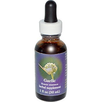 Flower Essence Services Garlic Dropper 1oz - FS0239