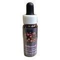 Flower Essence Services Milkweed Dropper .25 oz - FS0154