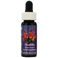 Flower Essence Services Ocotillo Dropper 0.25 Ounce - FS0344