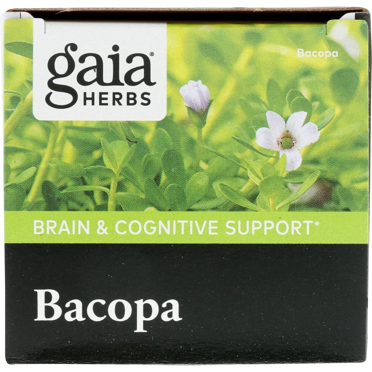Gaia Herbs Bacopa - Brain and Cognitive Support Herbal Supplement - Made with Bacopa (Bacopa Monnieri) to Help Support a Thriving Mind - 60 Vegan Liquid Phyto-Capsules (Up to 60-Day Supply)