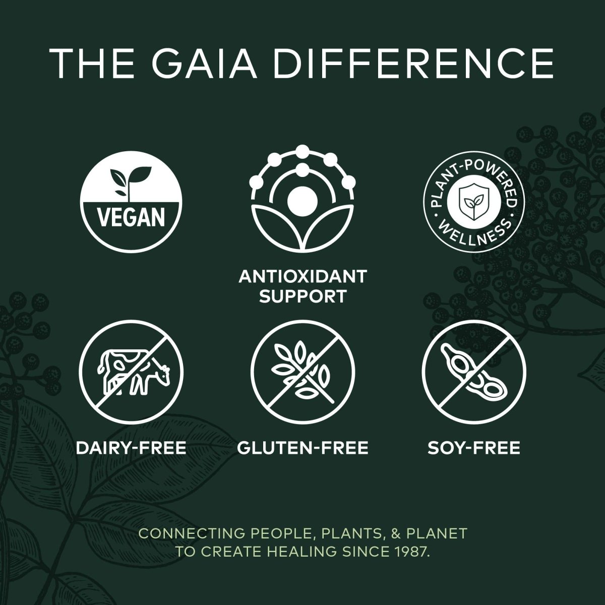 Gaia Herbs Black Elderberry - Daily Immune Support Supplement to Help Maintain Well-Being - with Black Elderberries and Acerola Fruit for Antioxidant Support - 60 Vegan Capsules (30-Day Supply)
