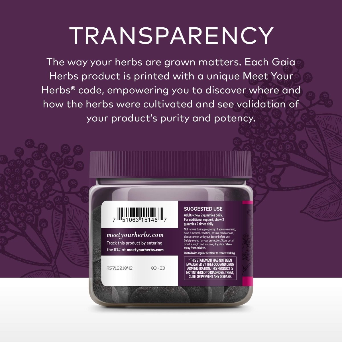 Gaia Herbs Black Elderberry Extra Strength 80 Gummies
