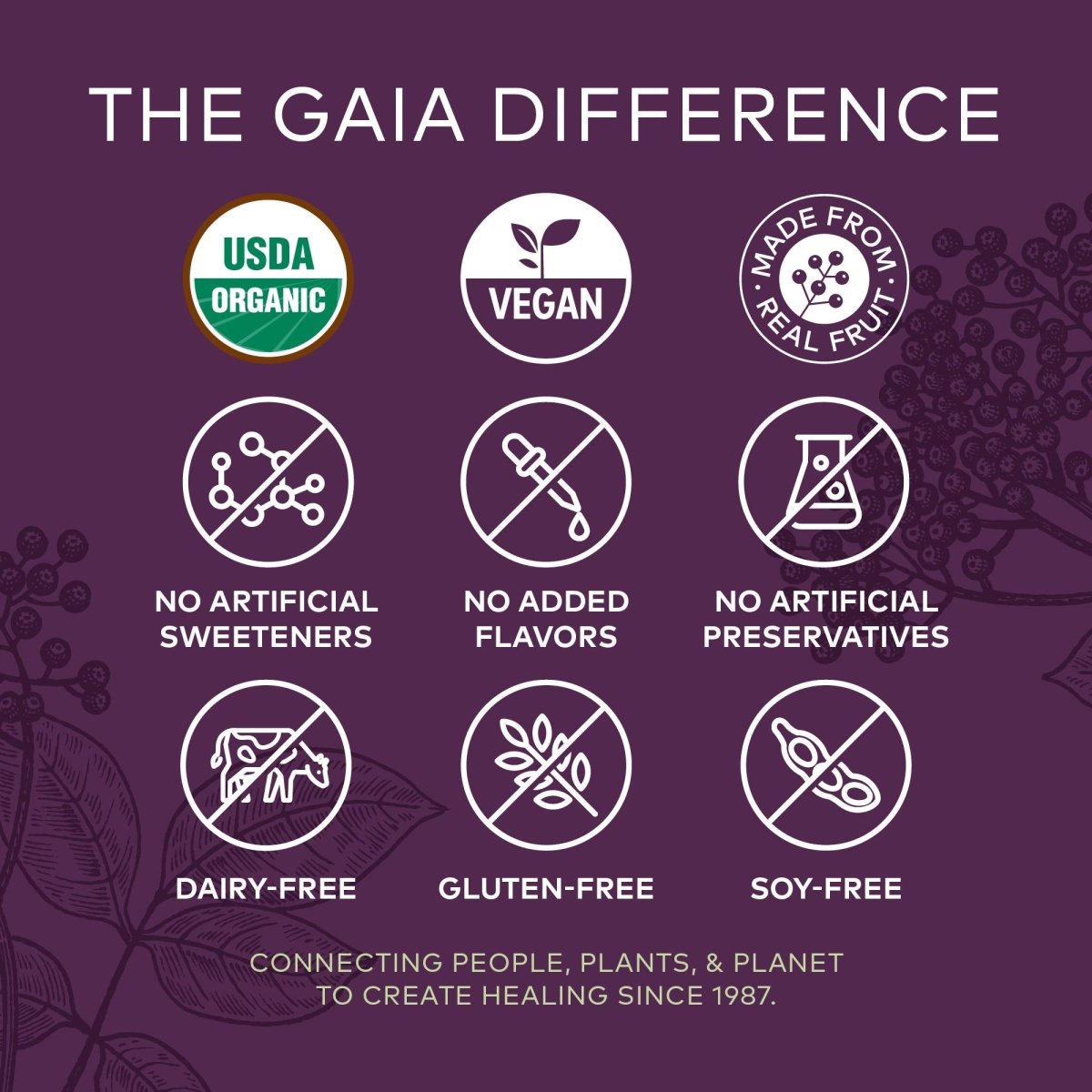 Gaia Herbs Black Elderberry Extra Strength 80 Gummies