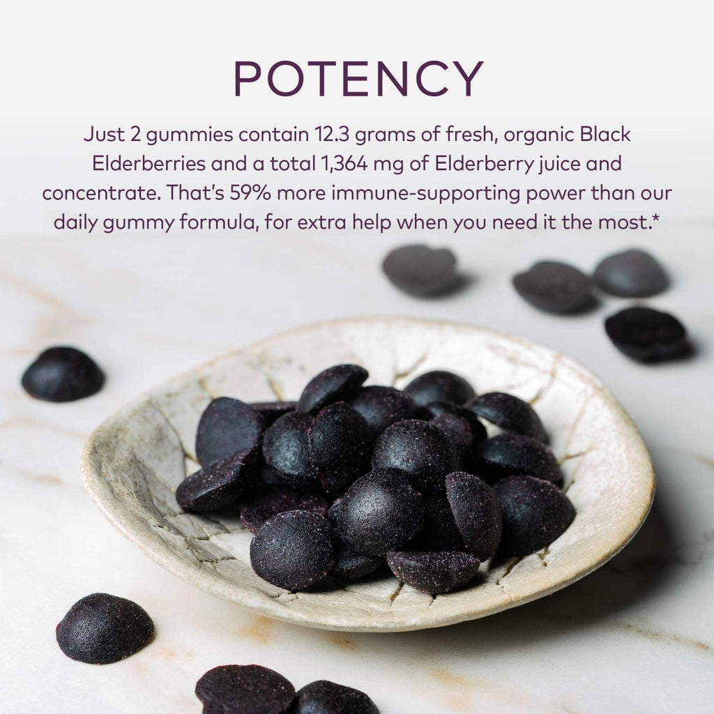 Gaia Herbs Black Elderberry Extra Strength Gummies - Immune Support with Certified Organic Black Elderberries - 40 Gummies