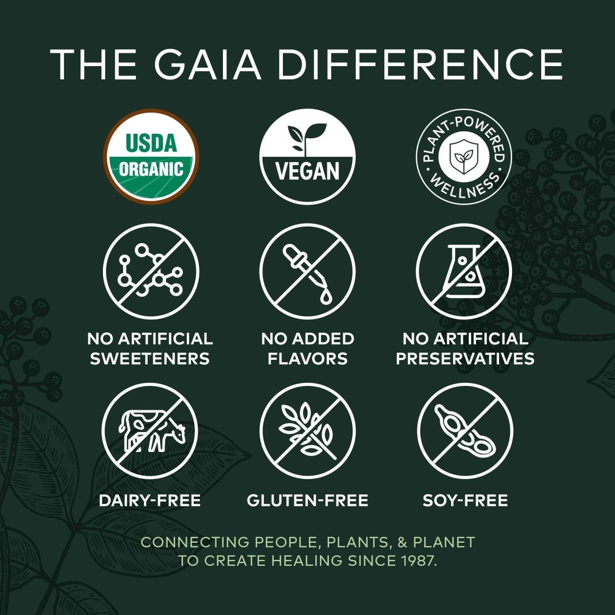 Gaia Herbs Black Elderberry (Sambucus Nigra) Syrup-Immune Support Supplement-Made with Organic Black Elderberries for Immune System Support-USDA Certified Organic Formula-3 Fl Oz (18-Day Supply)
