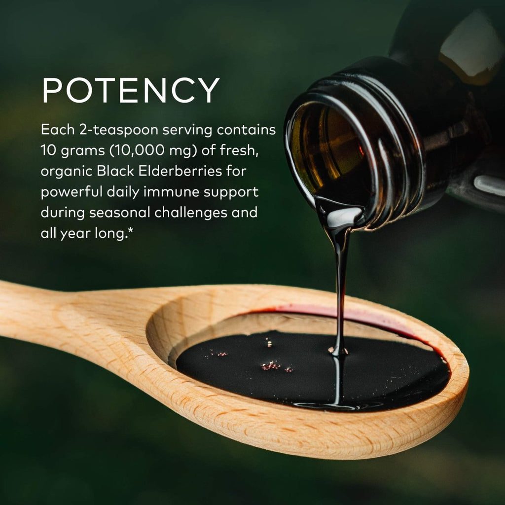 Gaia Herbs Black Elderberry Syrup Adult Daily - 5.4 Fl Oz (16-Day Supply)