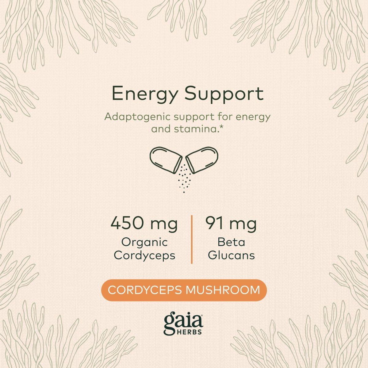 Gaia Herbs - Cordyceps Mushroom Energy Support 450 mg. - 40 Capsules