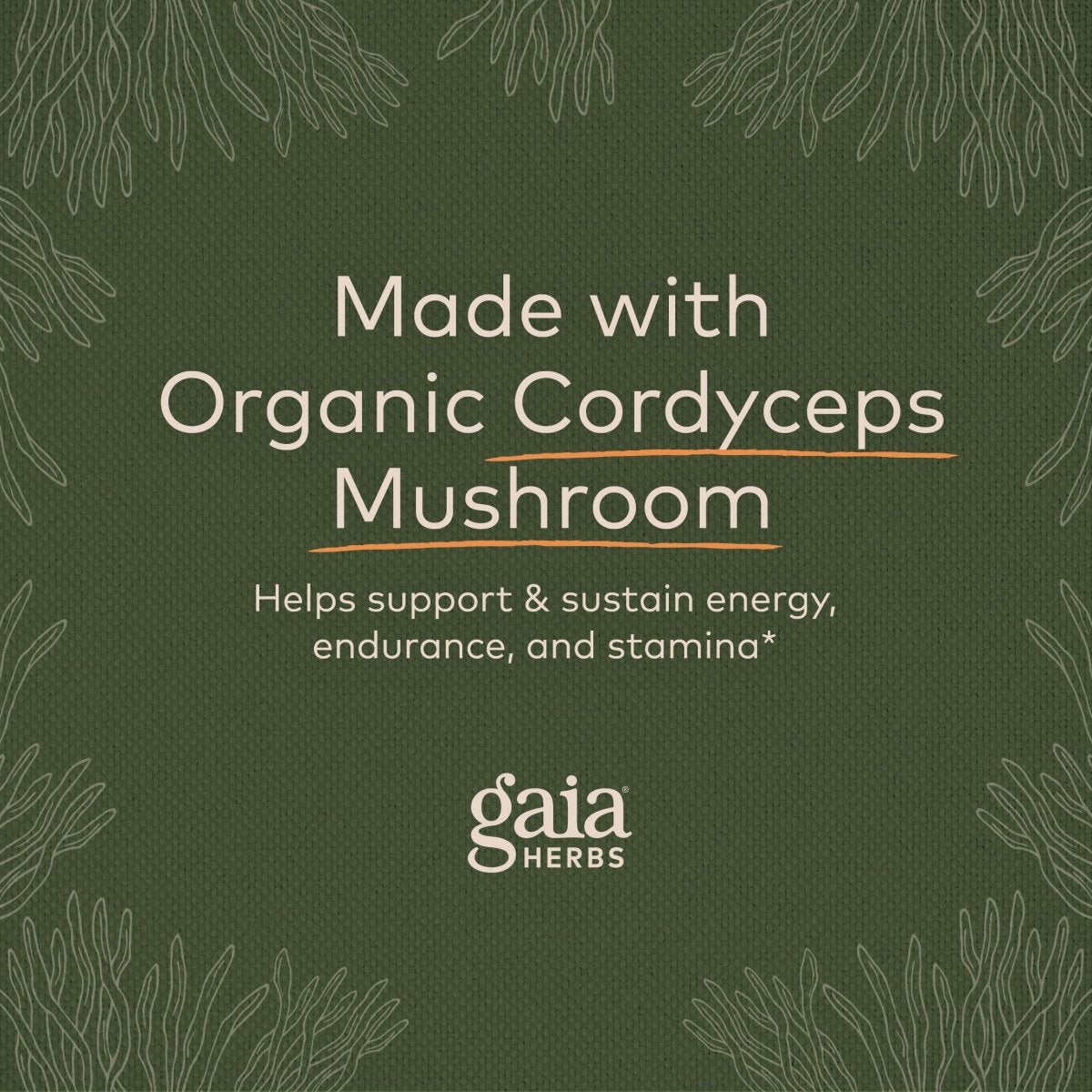 Gaia Herbs - Cordyceps Mushroom Energy Support 450 mg. - 40 Capsules
