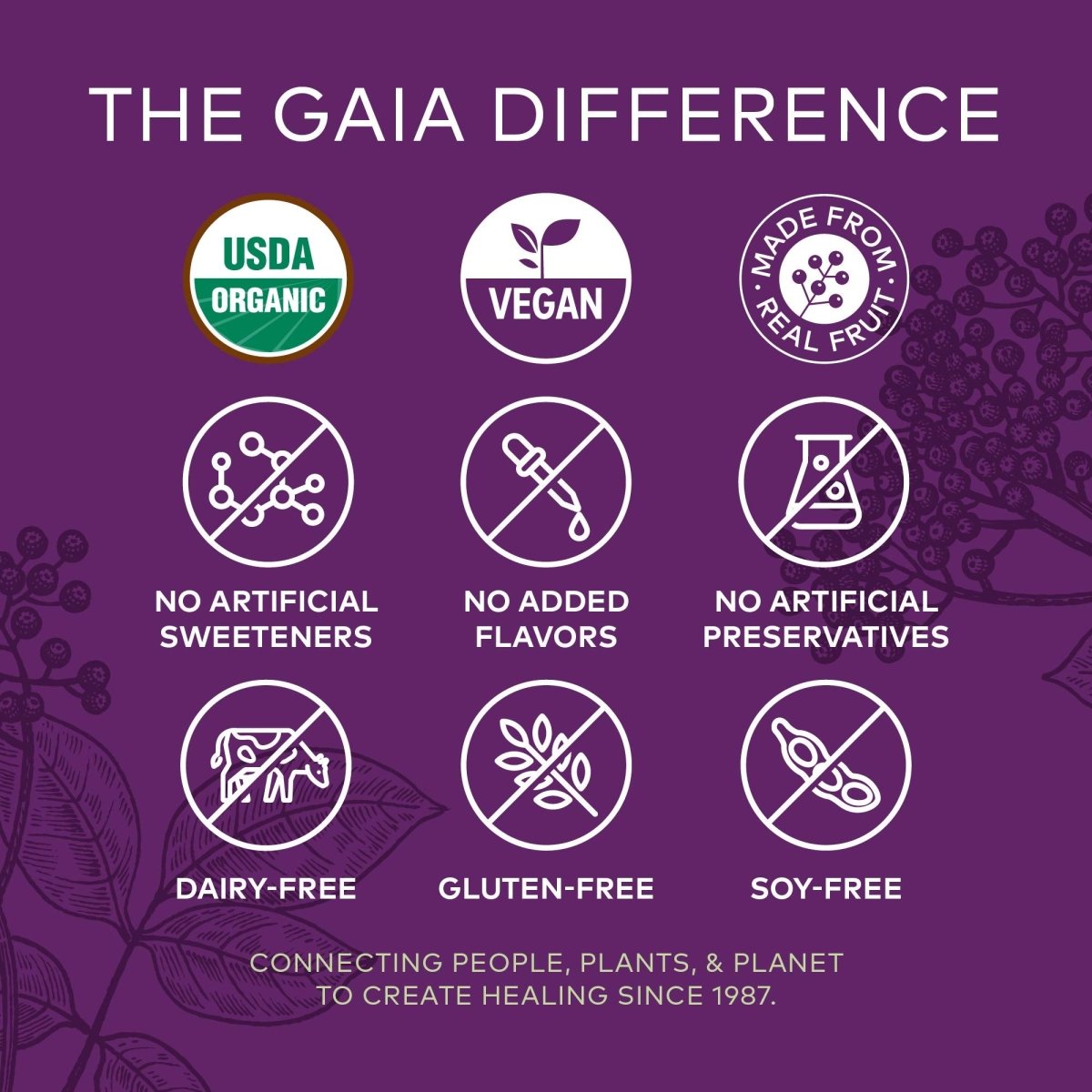 Gaia Herbs GaiaKids Black Elderberry Daily Gummies for Kids - Delicious Immune Support Supplement - Certified Organic Black Elderberries for Immune System Support - 40 Gummies (40-Day Supply)