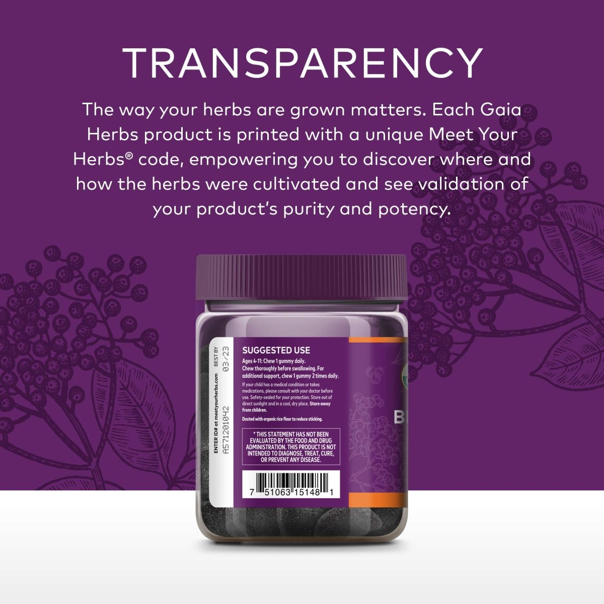 Gaia Herbs GaiaKids Black Elderberry Daily Gummies for Kids - Delicious Immune Support Supplement - Certified Organic Black Elderberries for Immune System Support - 40 Gummies (40-Day Supply)