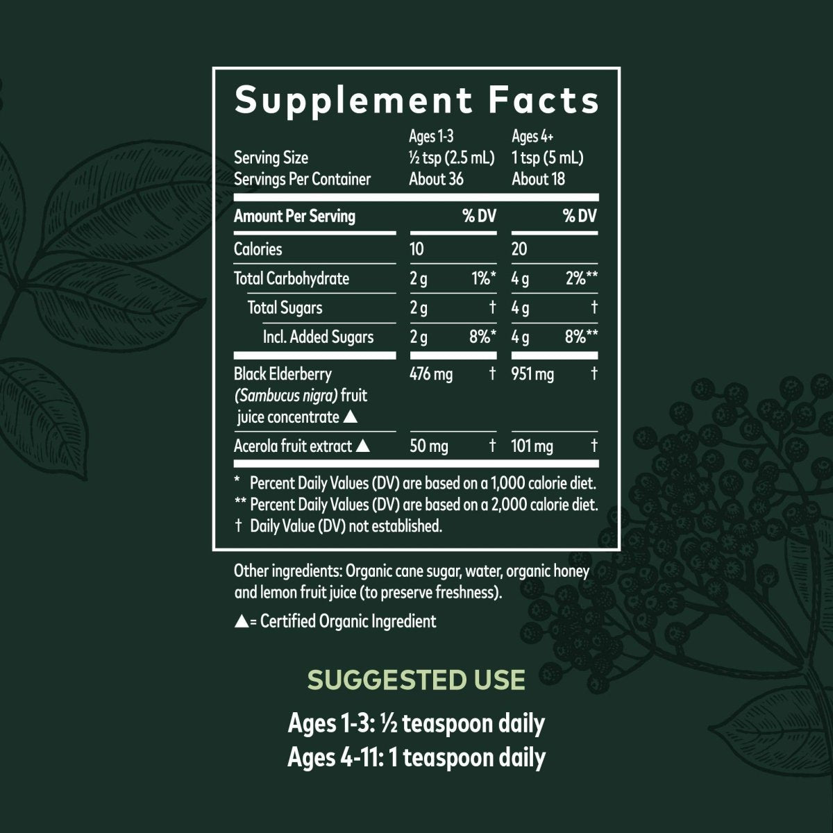 Gaia Herbs GaiaKids Black Elderberry Syrup - Delicious Immune Support Supplement for Kids - with Organic Black Elderberries and Honey - USDA Certified Organic Black Elderberry Syrup - 3 Fluid Ounces