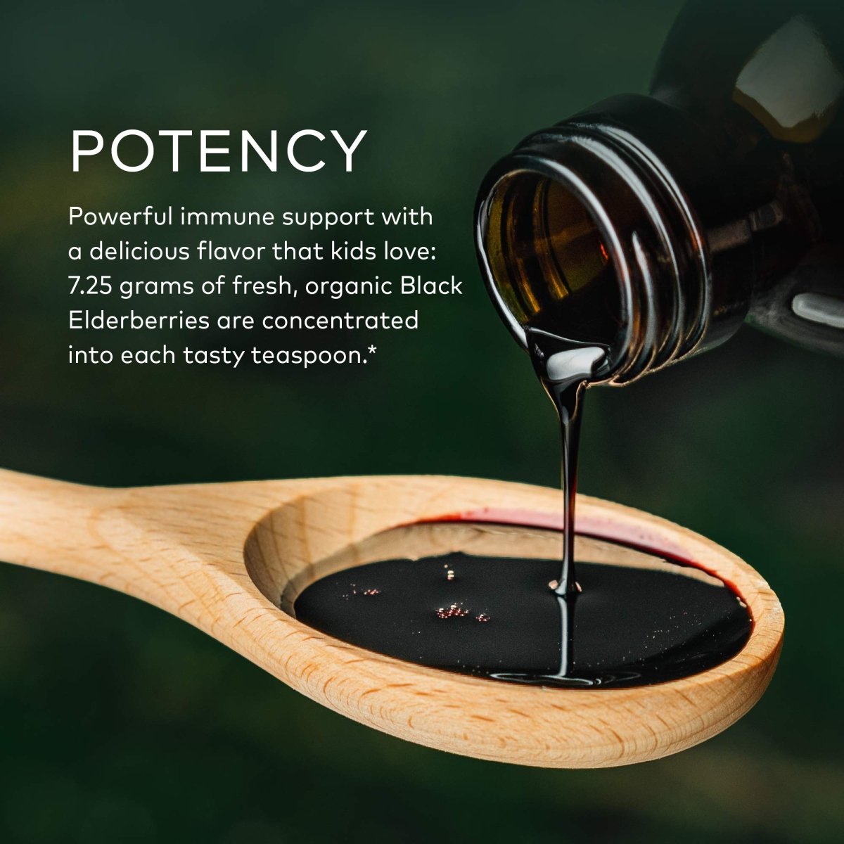 Gaia Herbs GaiaKids Black Elderberry Syrup - Delicious Immune Support Supplement for Kids - with Organic Black Elderberries and Honey - USDA Certified Organic Black Elderberry Syrup - 3 Fluid Ounces
