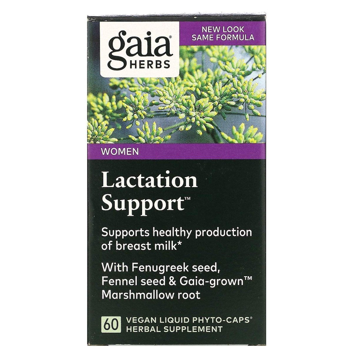 Gaia Herbs, Lactation Support Phyto, 60 Veggie Capsules