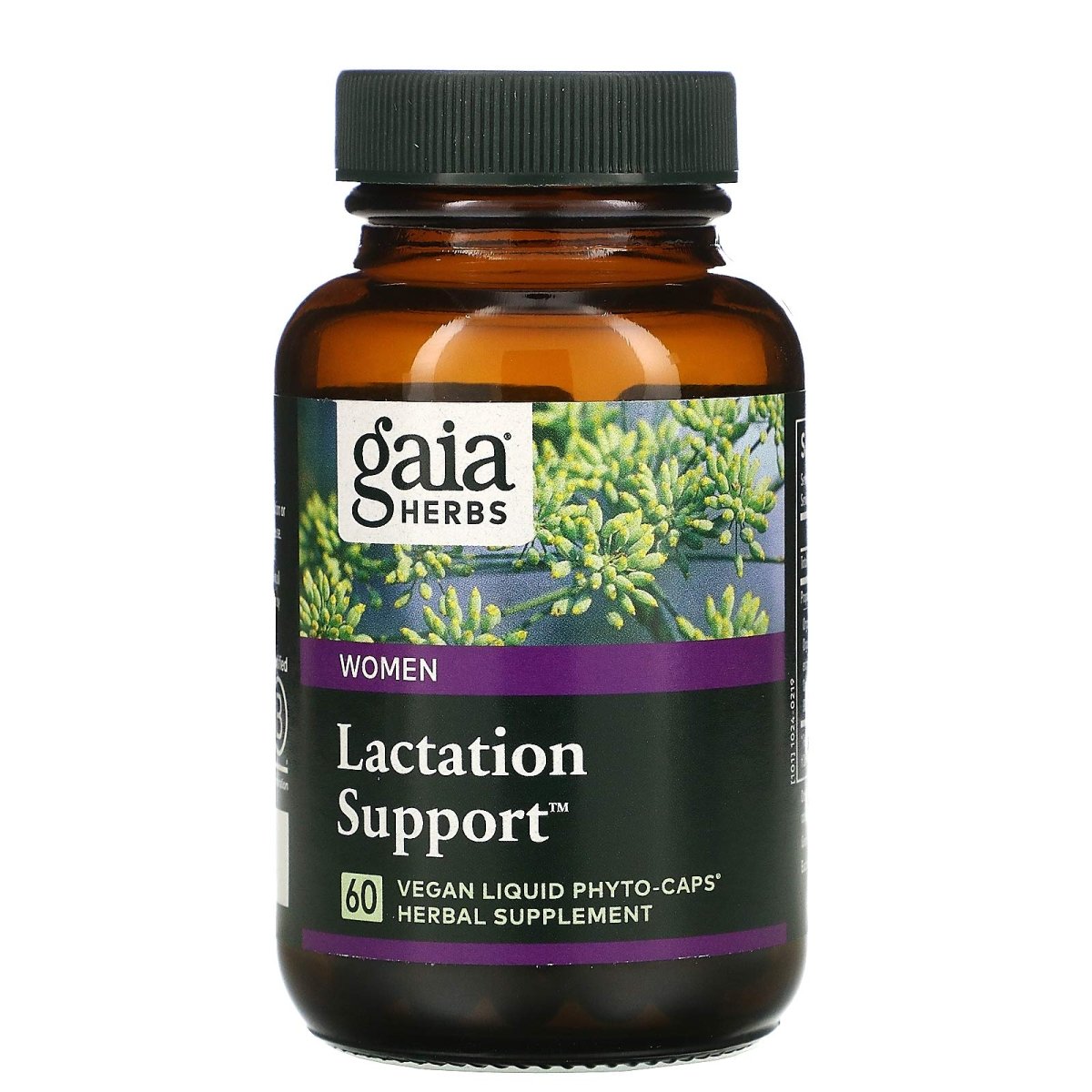 Gaia Herbs, Lactation Support Phyto, 60 Veggie Capsules