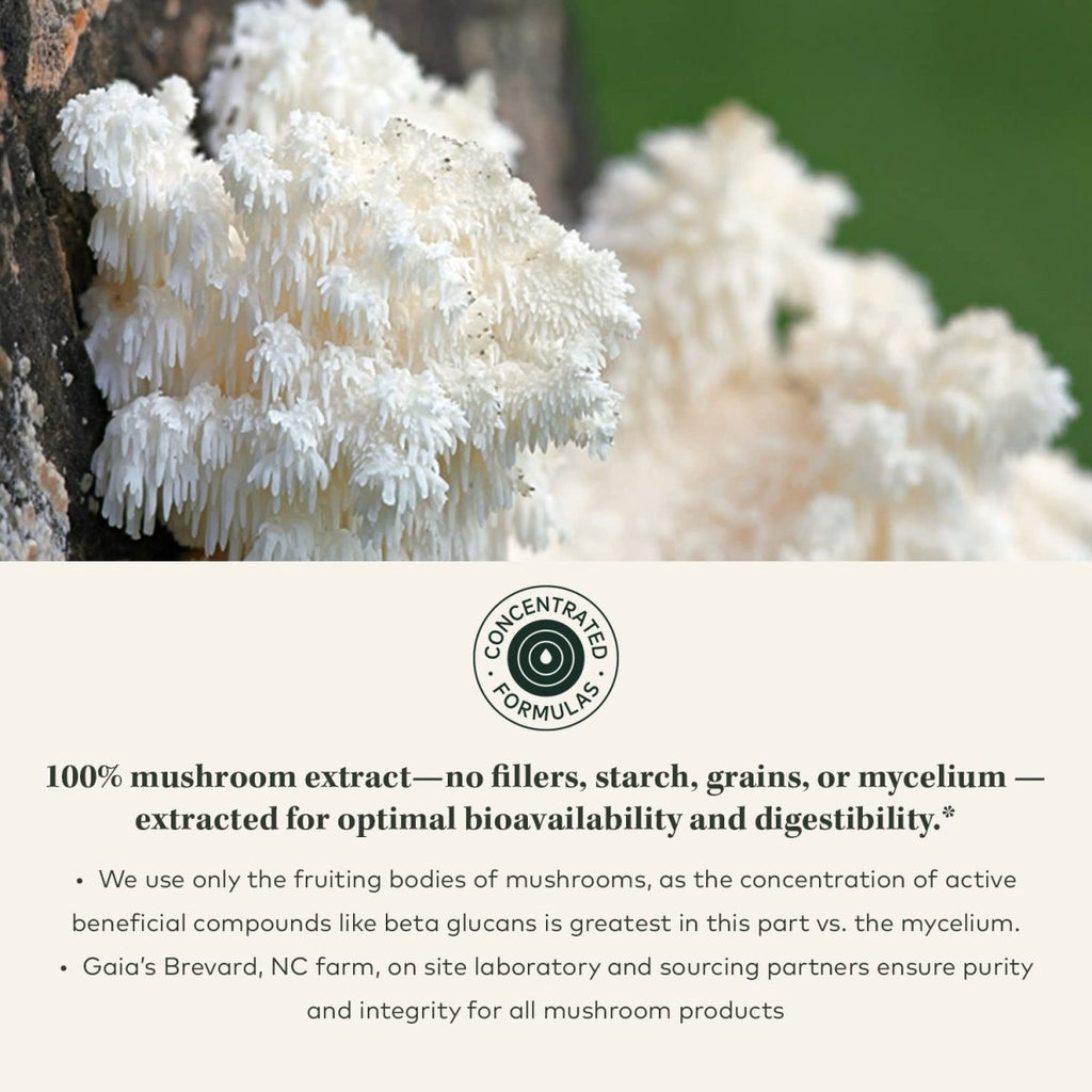 Gaia Herbs Lion's Mane Mushroom 40 Vcaps